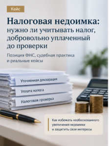 Учет добровольно уплаченного налога при расчете недоимки — кейс Калангиум